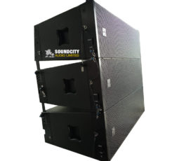 ACM Audio JLA 210P Line Array Speaker